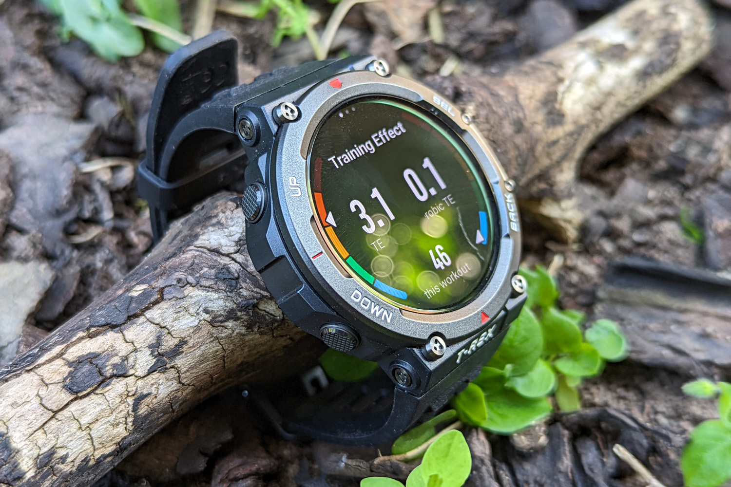 Amazfit T-Rex 2 review: fighting fit | Stuff