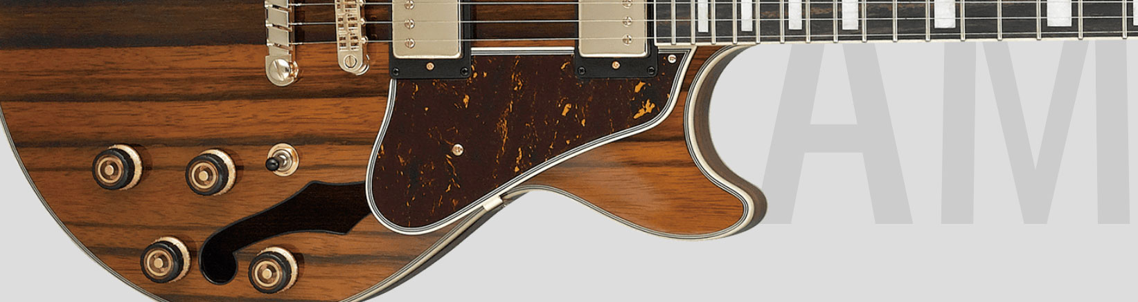 Ibanez AM93ME NT Artcore Expressionist - natural Semi-hollow