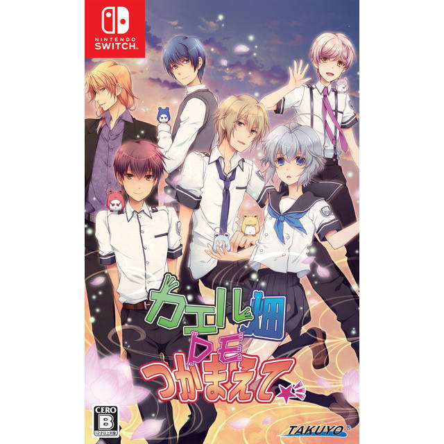 カエル畑DEつかまえて☆彡：Switch | ステラワース