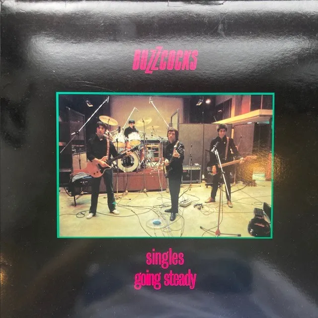 BUZZCOCKS / SINGLES GOING STEADY (45TH ANNIVERSARY EDITION) [2LP