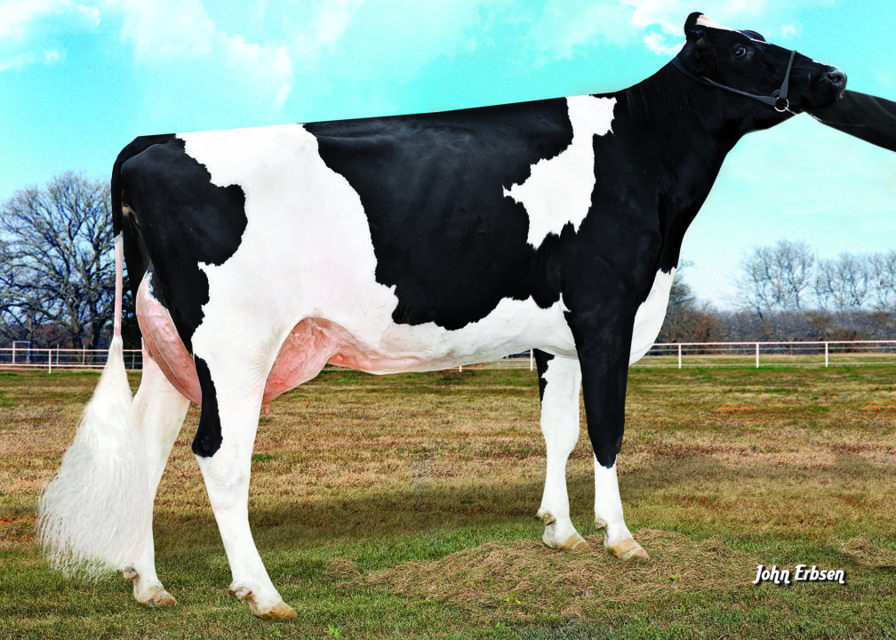 Rolex 94HO19988 | St. Jacobs ABC | St. Jacobs Choice