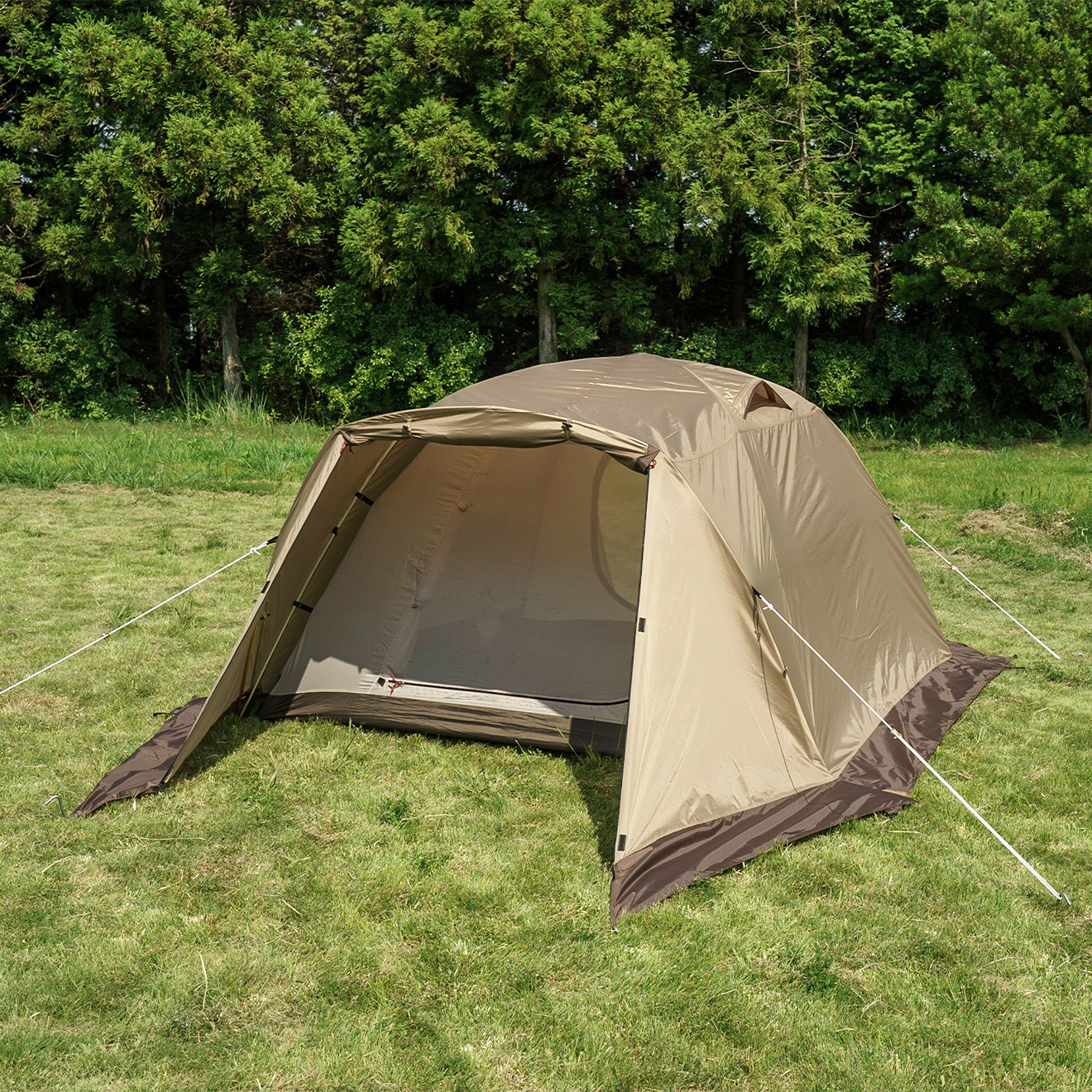 ピスタ34 / ogawa ONLINE STORE