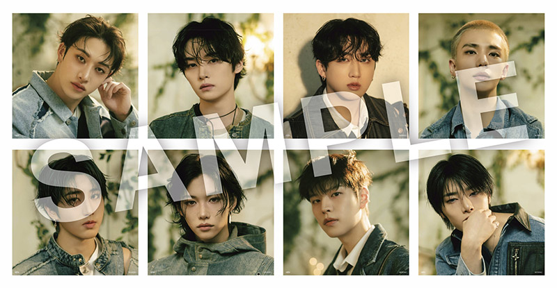 Stray Kids『Hollow』Special Site