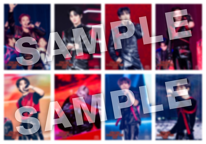 LIVE Blu-ray「Stray Kids 5-STAR Dome Tour 2023」Special Site