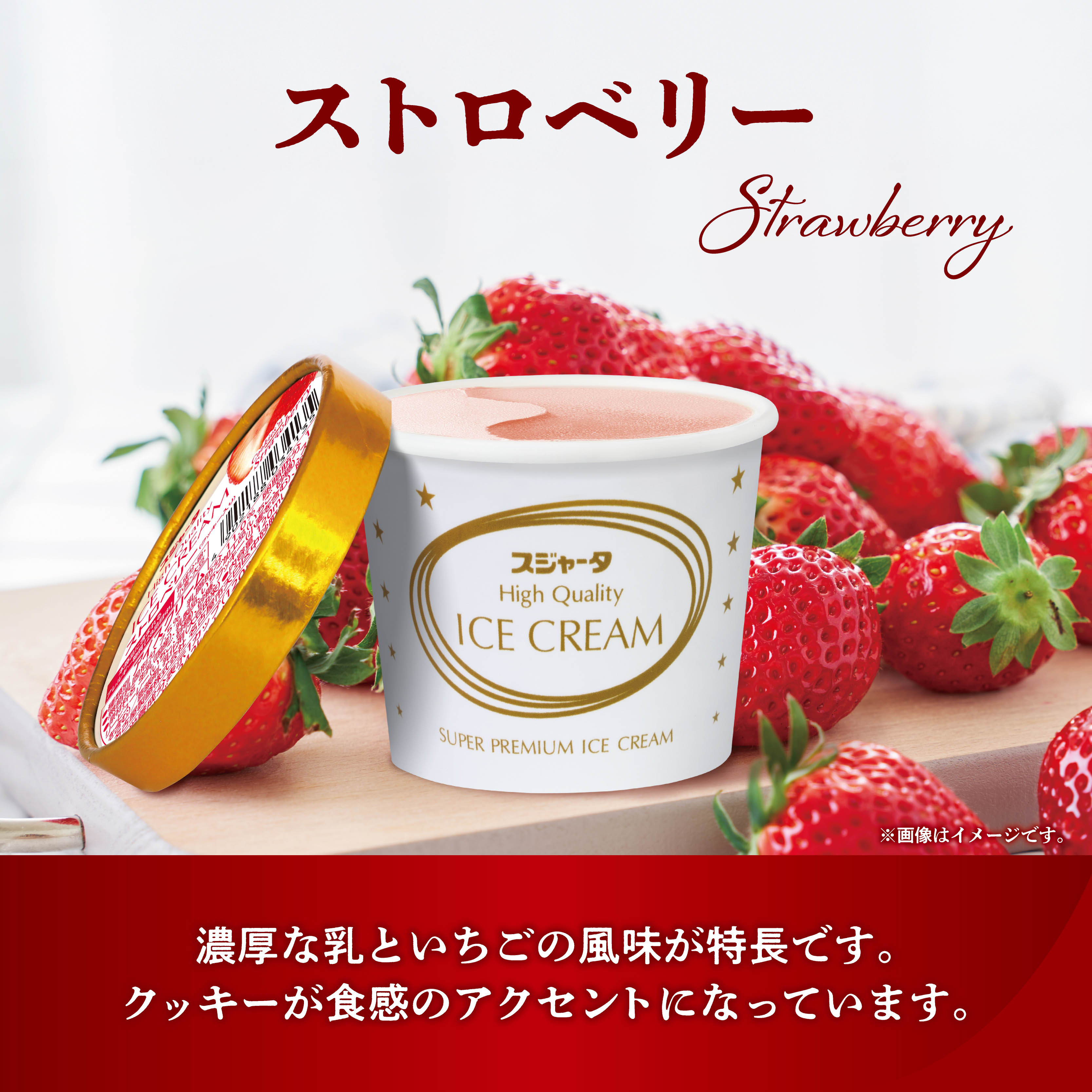 スジャータハイクオリティアイスクリーム(12個入)《配送希望日必須