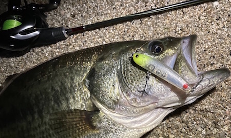 Light Trip 55L.J-ESCHE Debut ! | sumlures