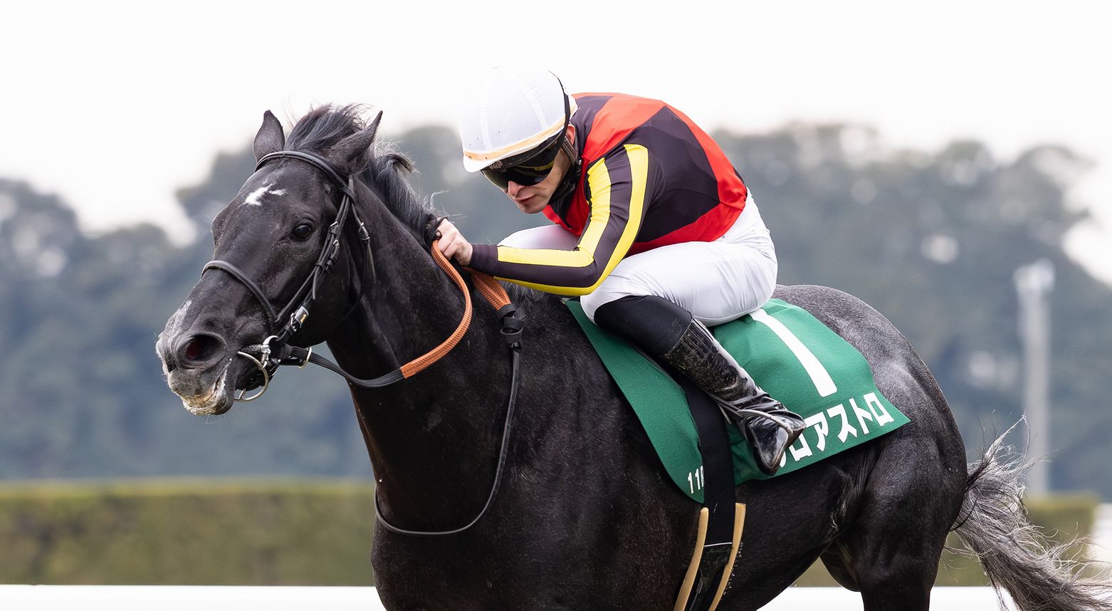 Sunday Thoroughbred Club サンデーサラブレッドクラブ