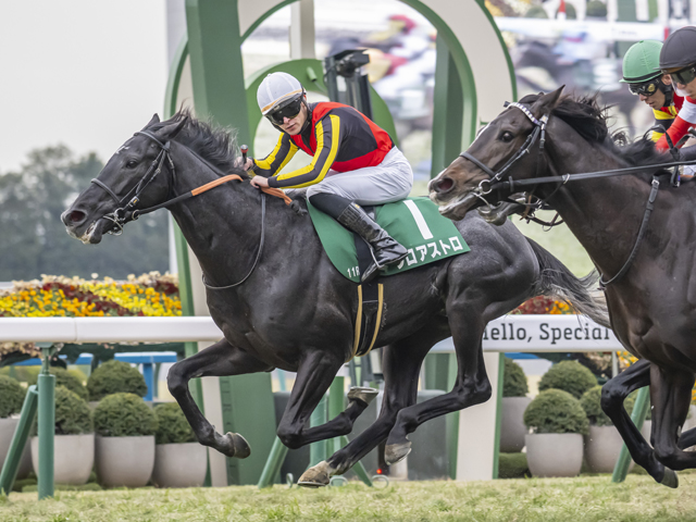 Sunday Thoroughbred Club サンデーサラブレッドクラブ