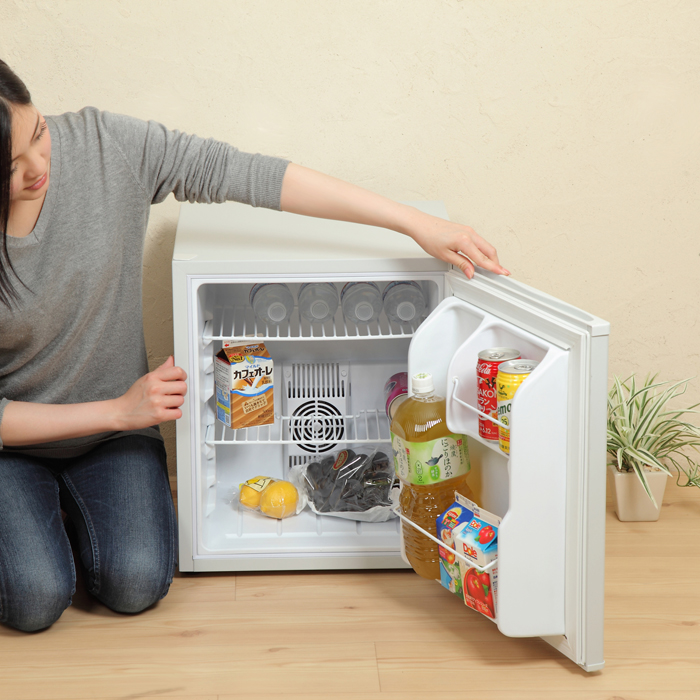 生産終了品】ペルチェ式 48リットル 1ドア電子冷蔵庫 SR-R4802 | SunRuck