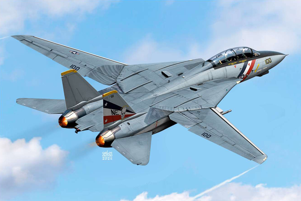 Grumman F-14 D Tomcat - 