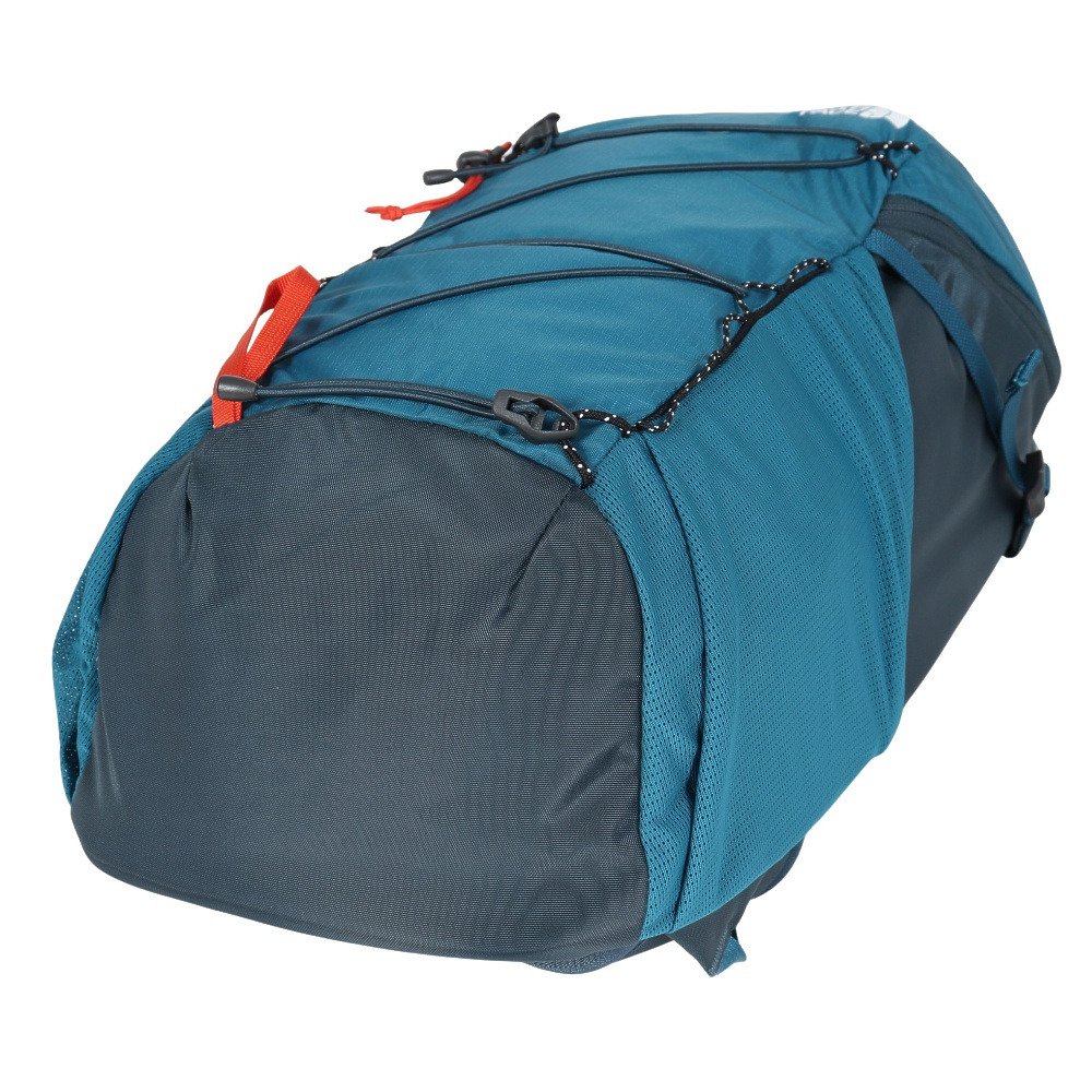 ザ・ノース・フェイス（THE NORTH FACE）（メンズ、レディース）バック