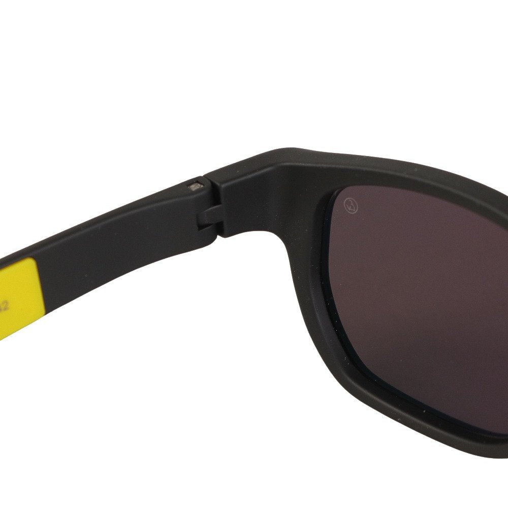 アイヴォル（EYEVOL）（メンズ）サングラス FRIEDMAN(52) 52 MBK-LY-PL