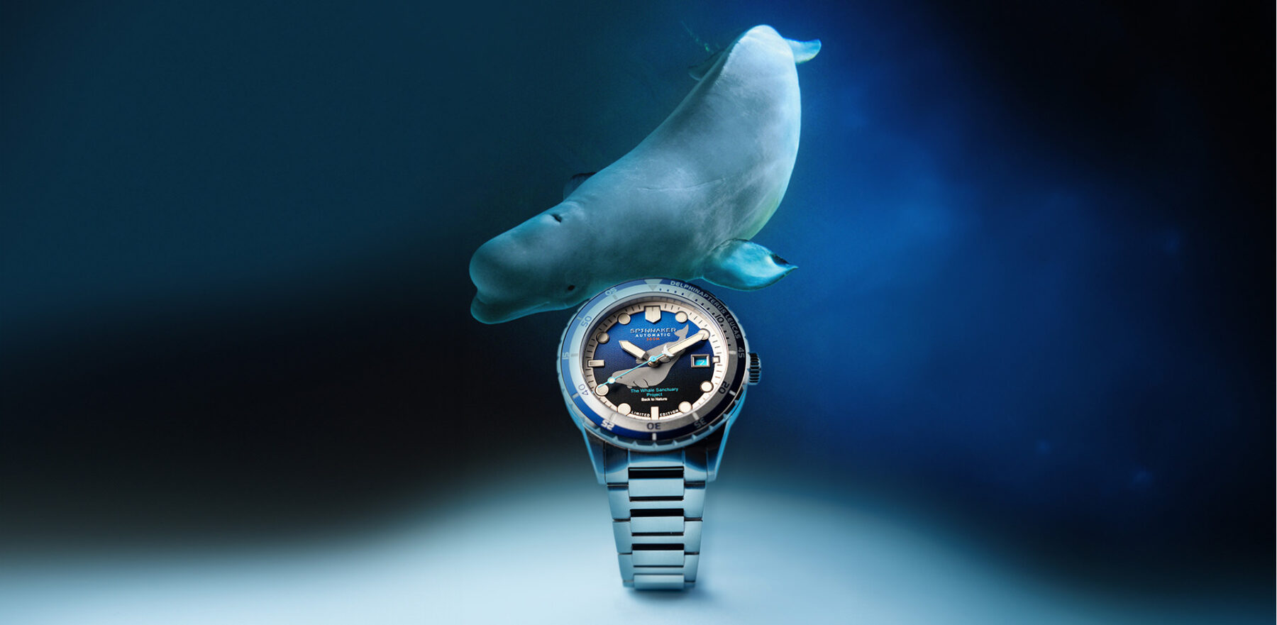 HASS AUTOMATIC The Whale Sanctuary Project Second edition