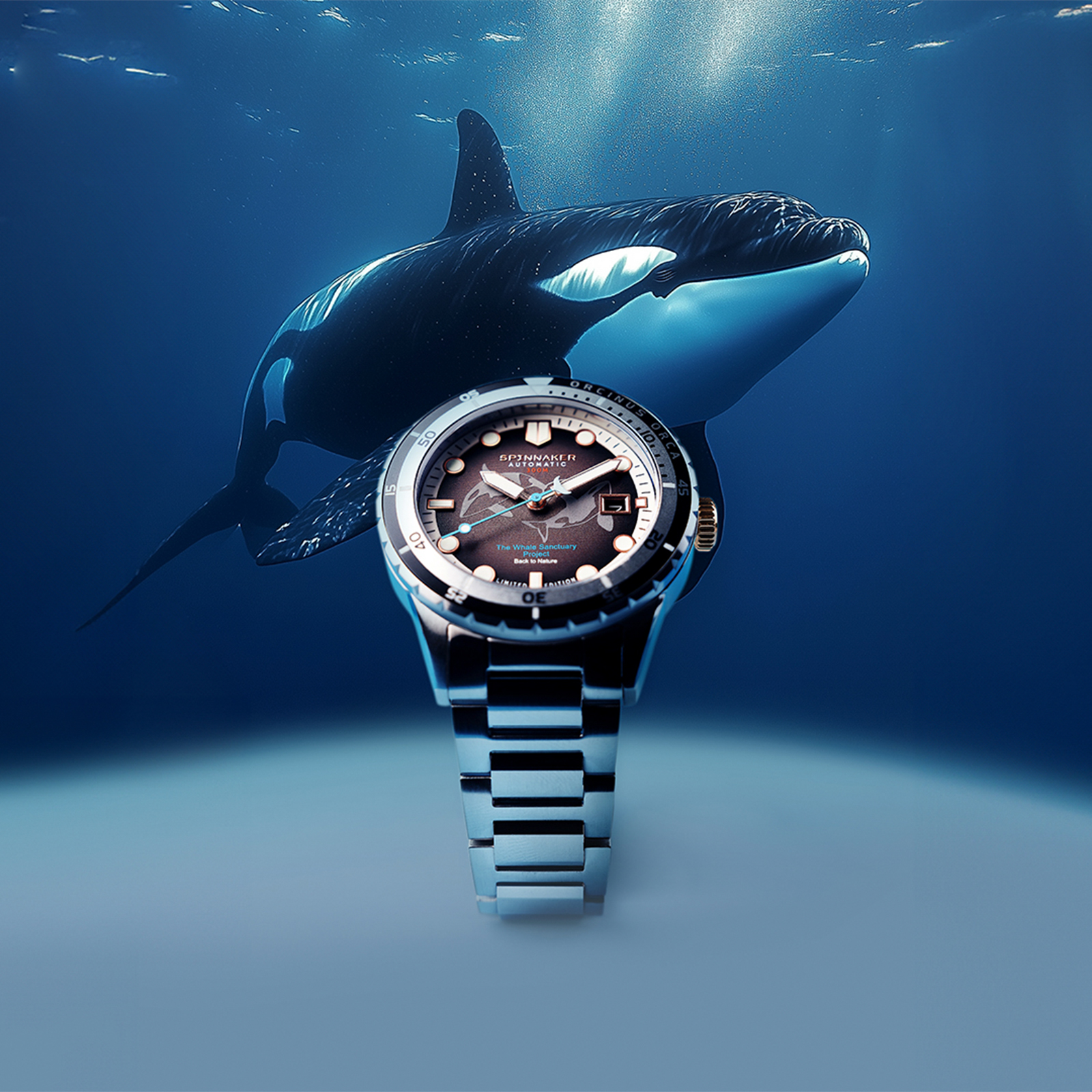 SP-5128-44 | COLLECTION | SPINNAKER | スピ二カー 時計公式サイト