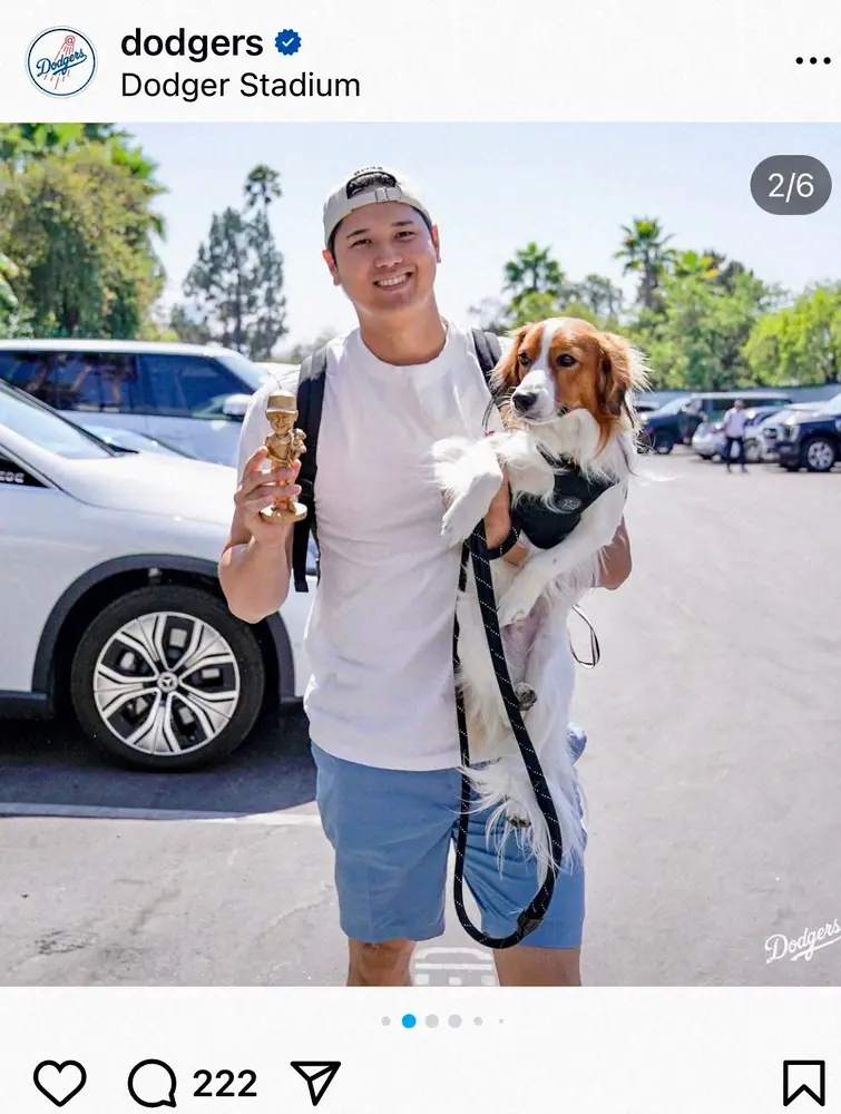 大谷翔平 ボブルヘッドが配布される愛犬・デコピンと球場入り