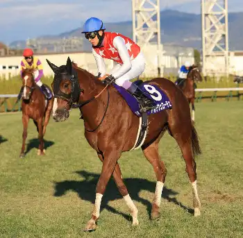 追憶のシンザン記念】02年タニノギムレット ダービー制覇への第一歩