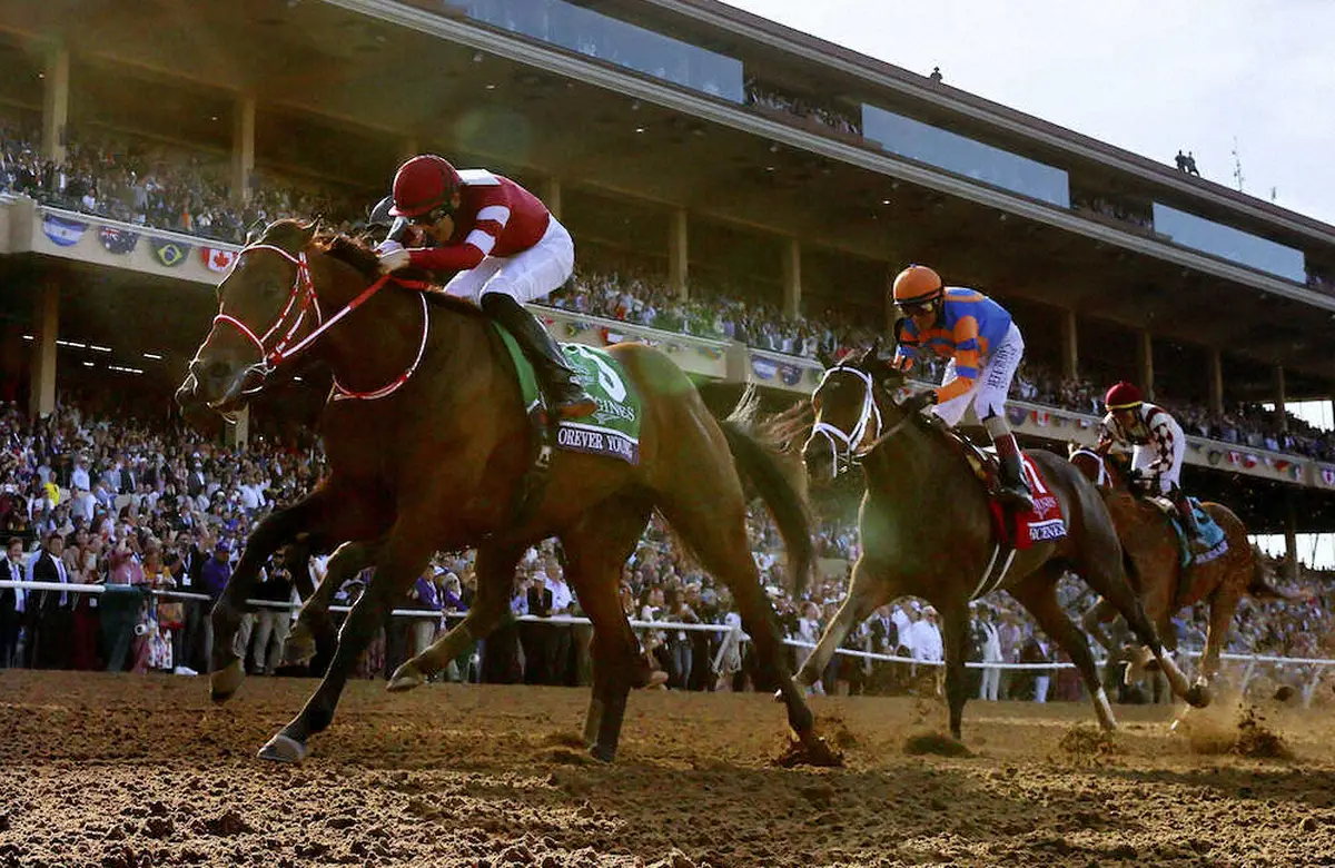 2025JRA10大ニュース】1位 フォーエバーヤング BCクラシック制覇 日本