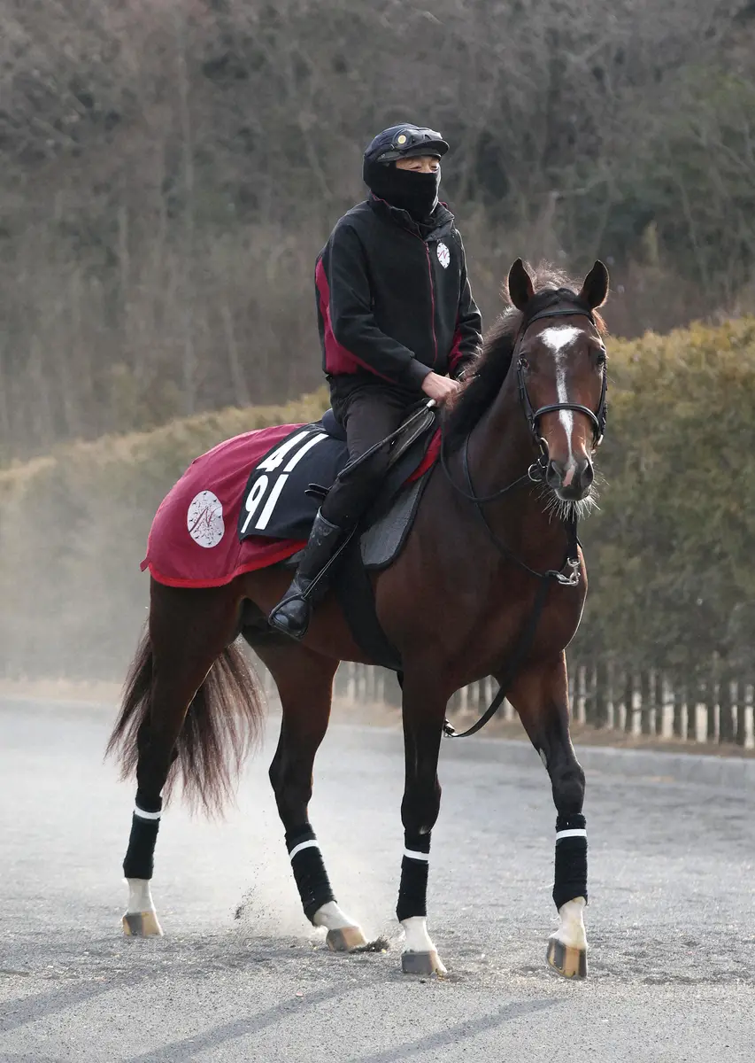 クールモアスタッド日本進出 JRA馬主資格を取得 既にフランケル産駒3歳