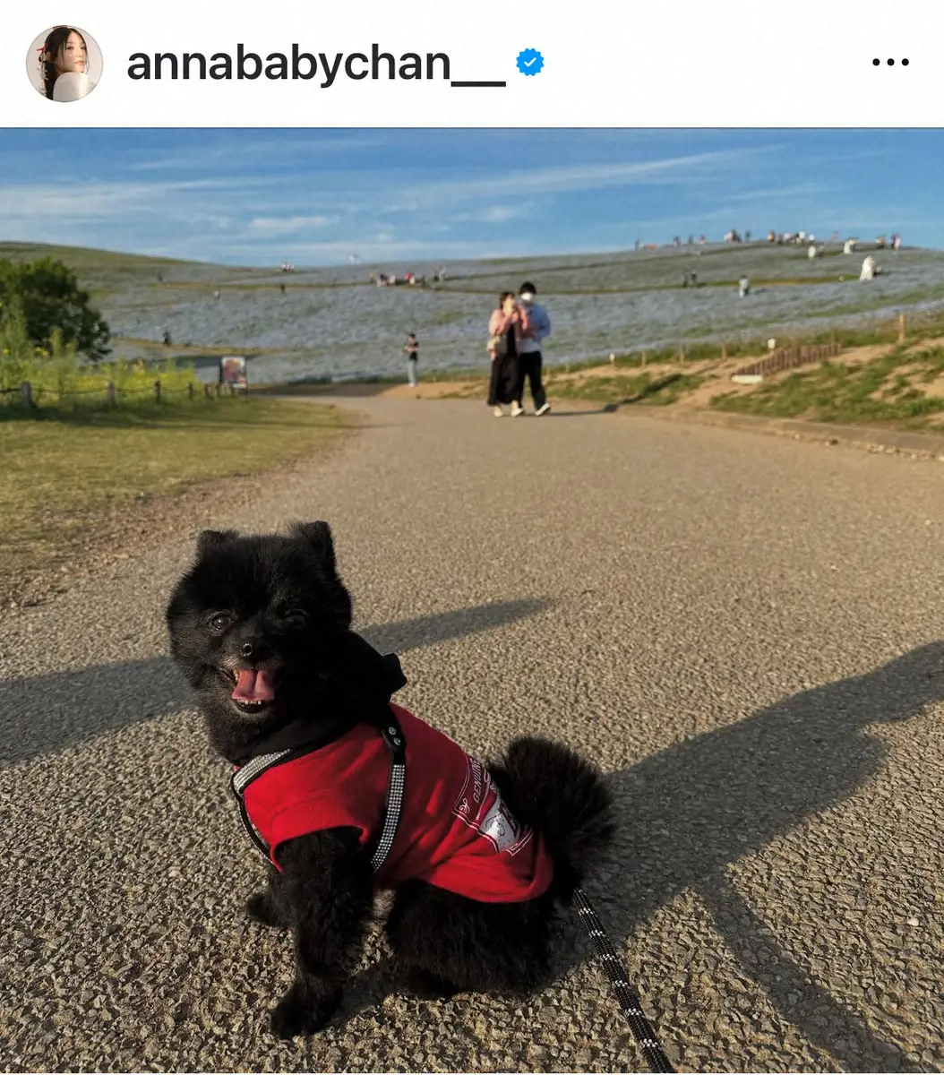 須田アンナの公式インスタグラム（@annababychan__）から - スポニチ