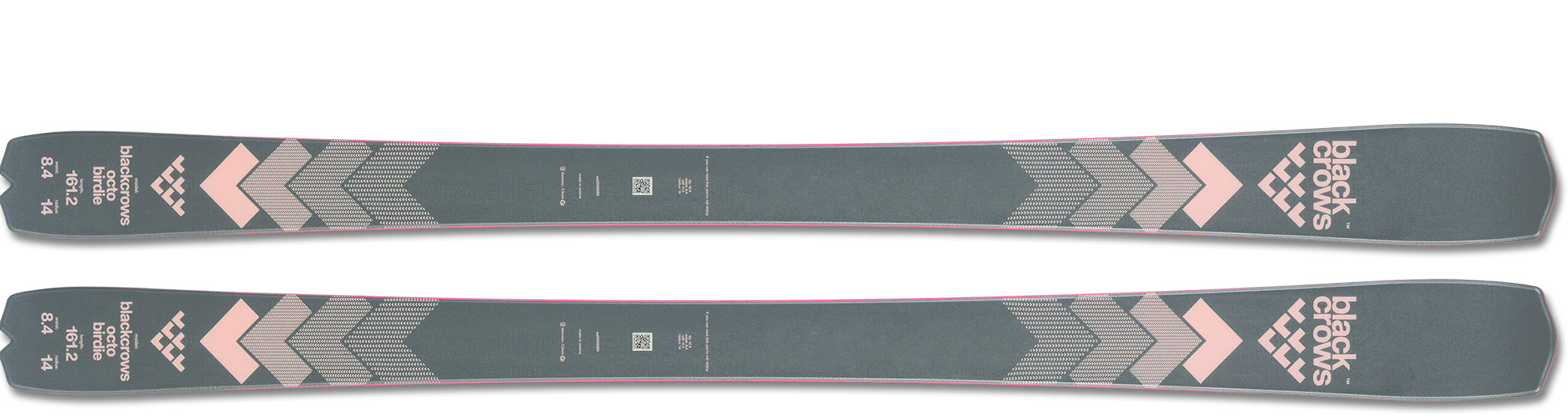 Buy Black Crows Octo Birdie + N Strive 12 GW L90 | Sport Gardena