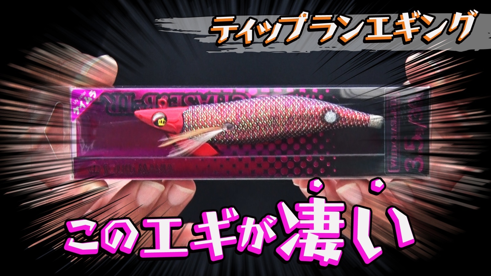 ティップランエギング このエギが釣れる！