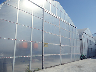 花野果®SUN-X『サンクロス』 | 農PO | 農業材 | 製品情報 | 住化積水