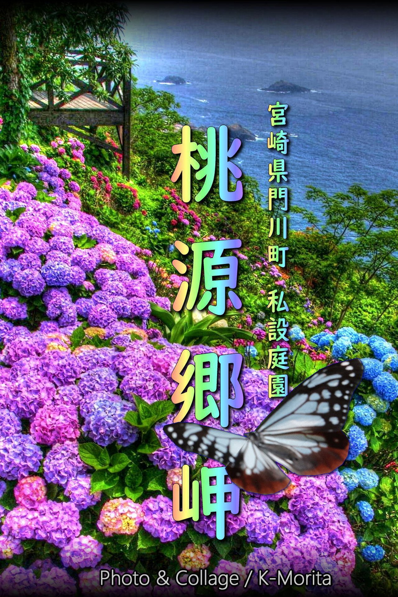 桃源郷岬のアジサイ｜宮崎県の紫陽花の名所｜2025年開花情報更新