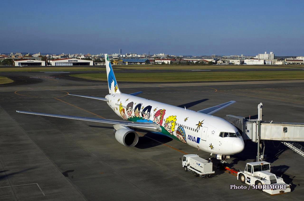 ANA ゆめジェット ～You&Me～｜宮崎ブーゲンビリア空港にて