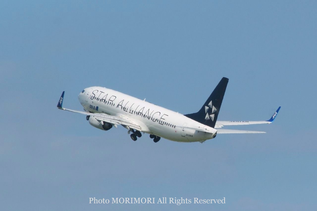スターアライアンス特別塗装機の写真｜B737-800 JA51AN STAR ALLIANCE