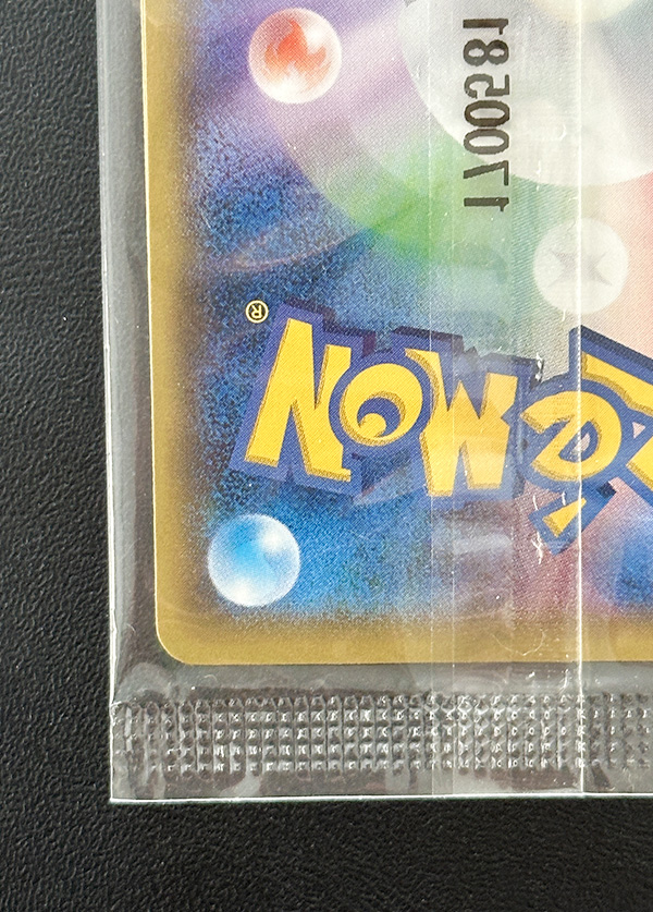 アローラロコン＆ロコンポンチョを着たピカチュウ セット（プロモ