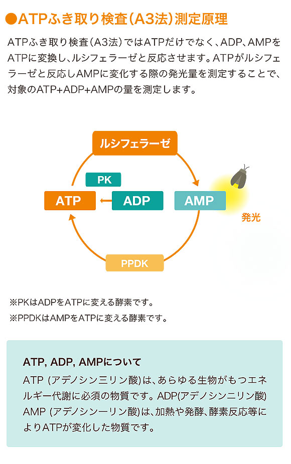 キッコーマンバイオケミファ ルミテスター Smart(スマート) - ATP+ADP+