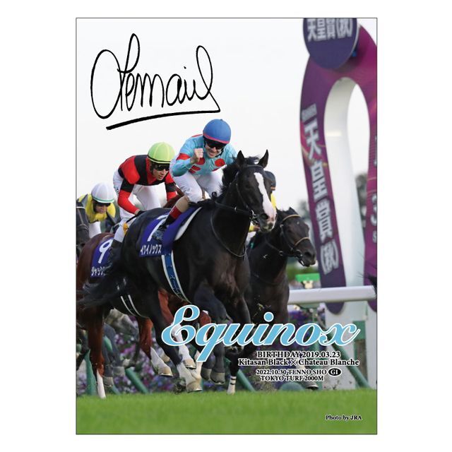 イクイノックス」ジグソーパズル500ピースSNT-IJP