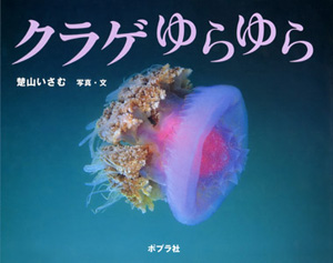 クラゲ ゆらゆら｜ふしぎいっぱい写真絵本｜自然科学｜本を探す｜ポプラ社