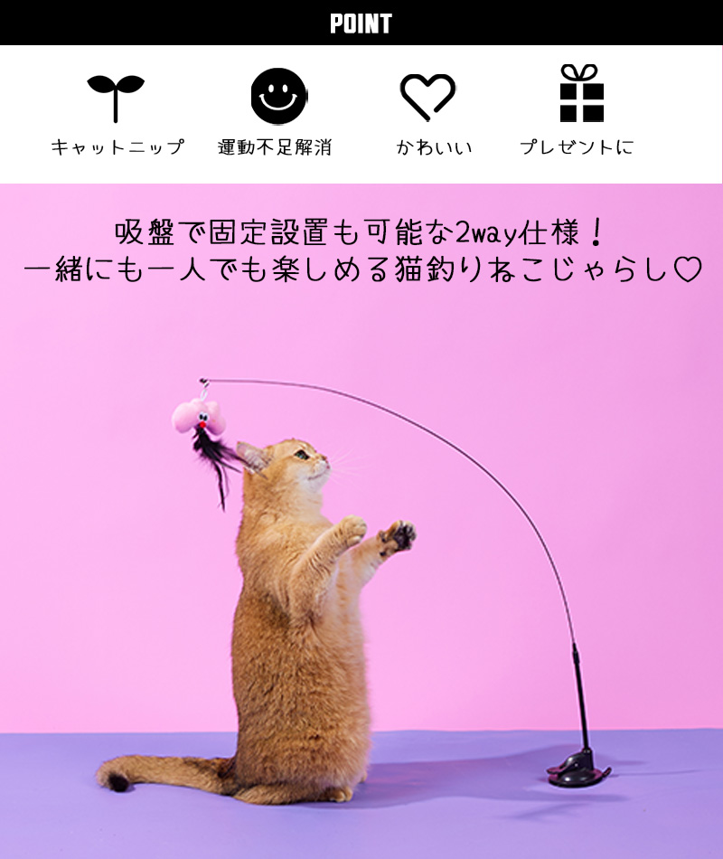 Luuks up】WEATHER BOUNCE Cat Teaser - 株式会社ぺティファーム