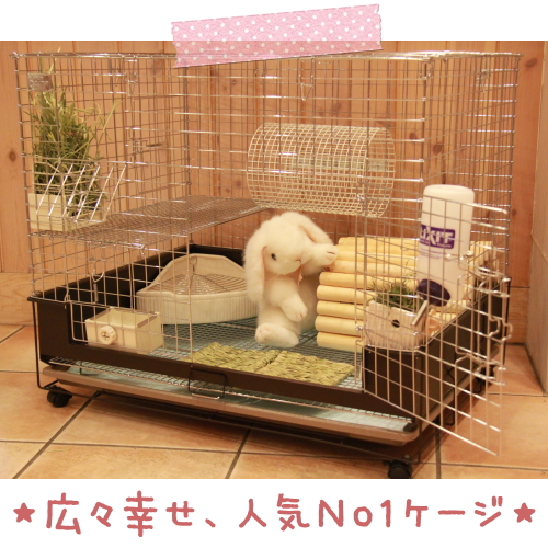 うさぎ専門店pet's-club / «送料無料»コンフォート80【税別32000円】