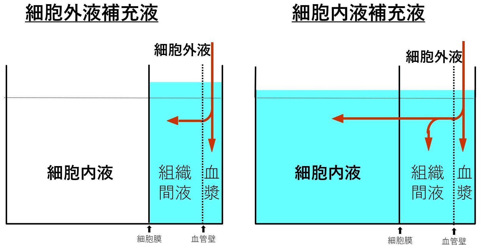 Chapter3 静脈栄養 水・電解質 2.水・電解質輸液、電解質製剤｜PDN