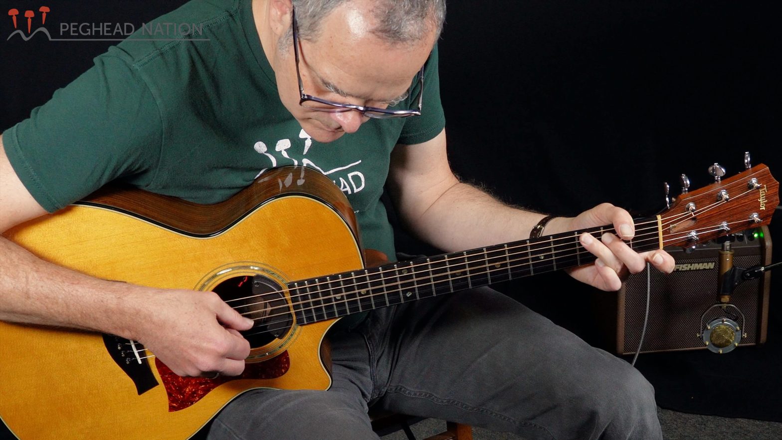 Fishman AFX AcoustiComp Mini review - Peghead Nation