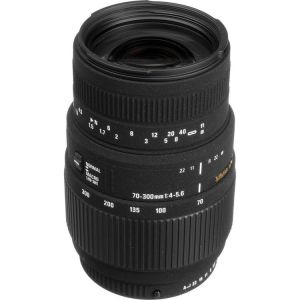 Sigma DG Macro 70-300mm F4-5.6 Lens Reviews - Sigma Lenses