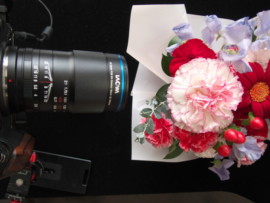 LAOWA 65mm F2.8 2X Ultra Macro APO – 大熊猫技研