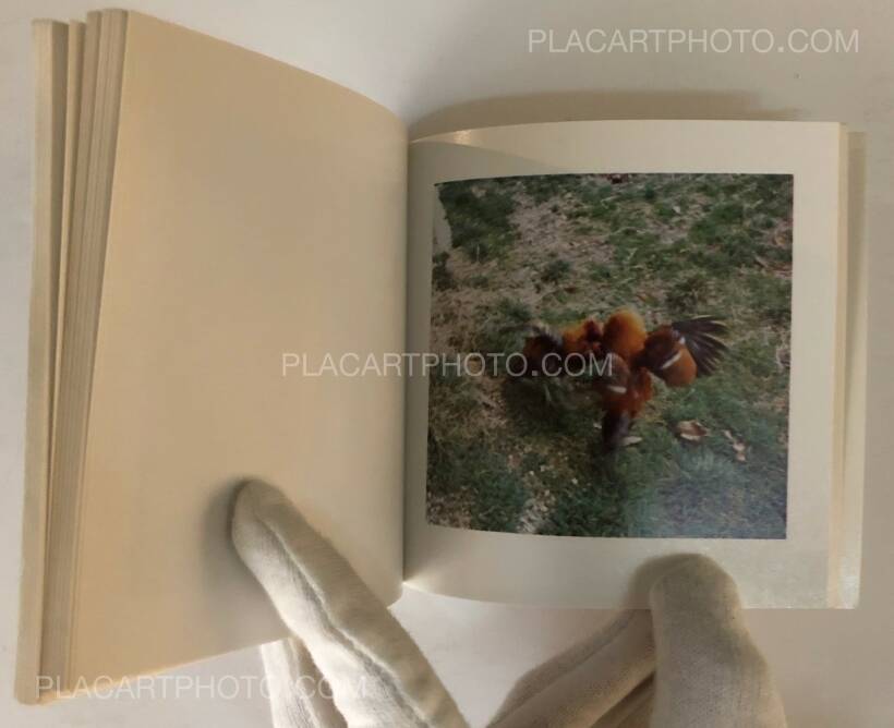 Sol Lewitt: Cock Fight Dance, Rizzoli & Multiples, 1980 | Bookshop