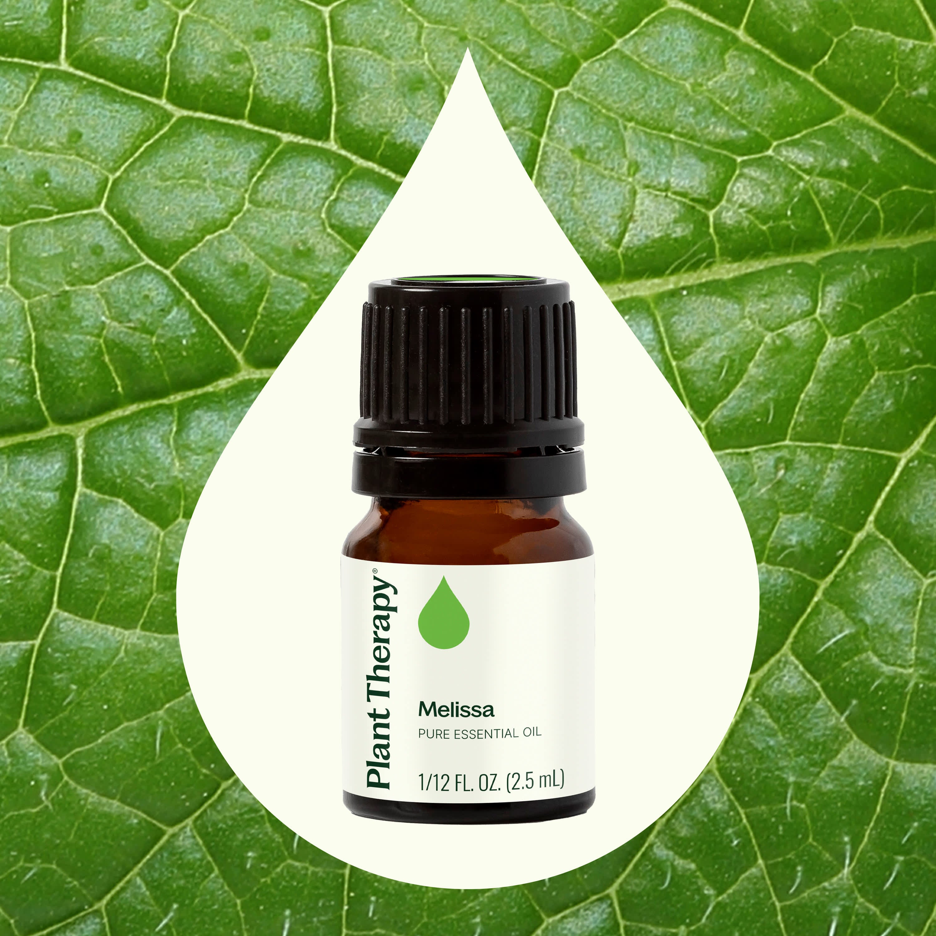 Melissa Essential Oil – Plant Therapy