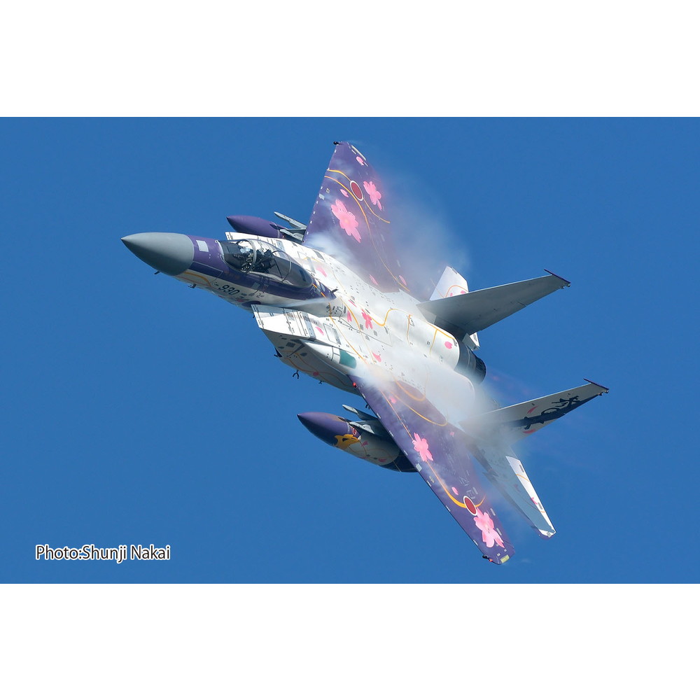 プラモデル :: 飛行機 :: 航空自衛隊 F-15J イーグル 第306飛行隊 2024