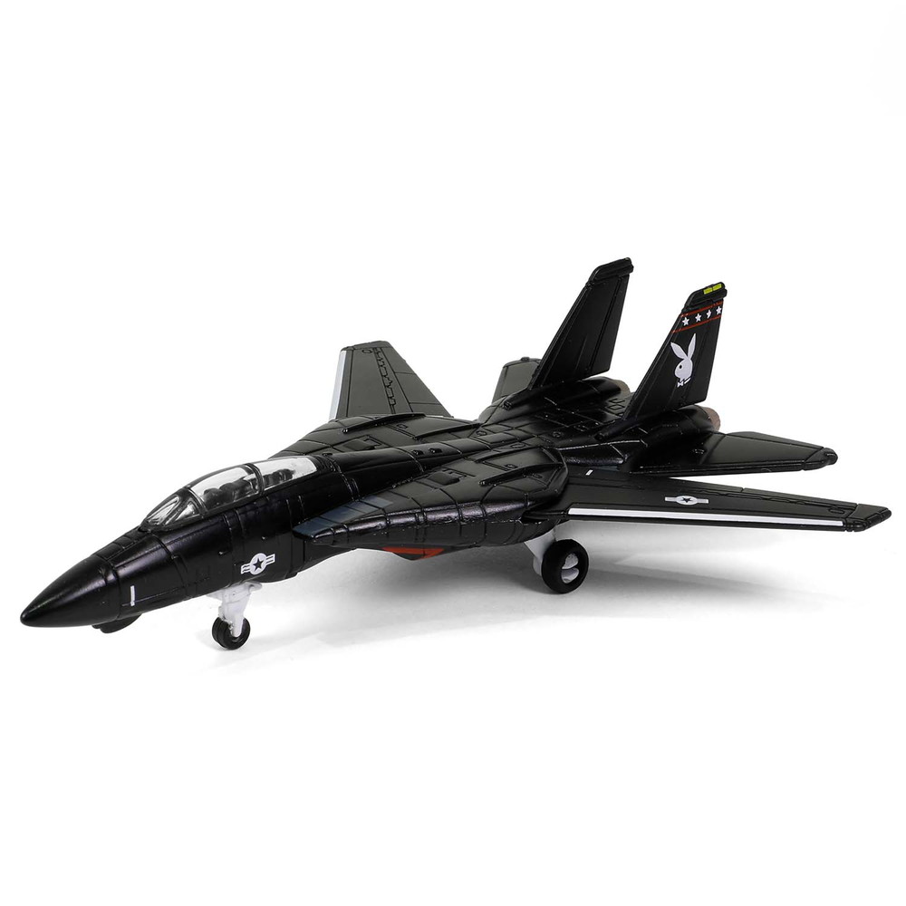 完成品 :: 飛行機 :: アメリカ海軍 F-14 トムキャット VX-4 エヴァリュ