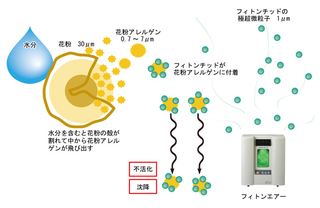 フィトンエアー｜フィトンチッド本舗