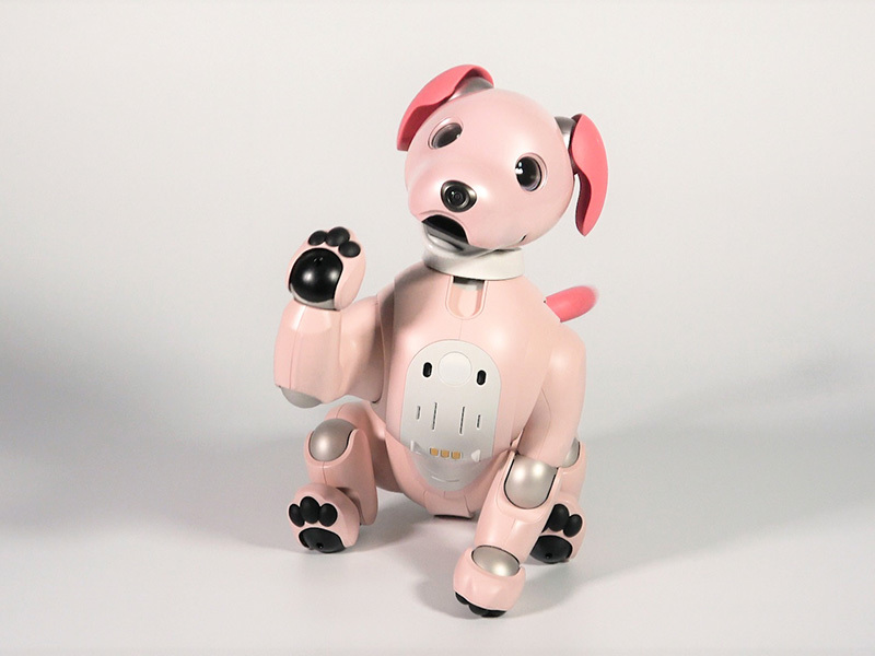 ソニー、aiboの2022年限定色「いちごミルク エディション」 - PHILE WEB