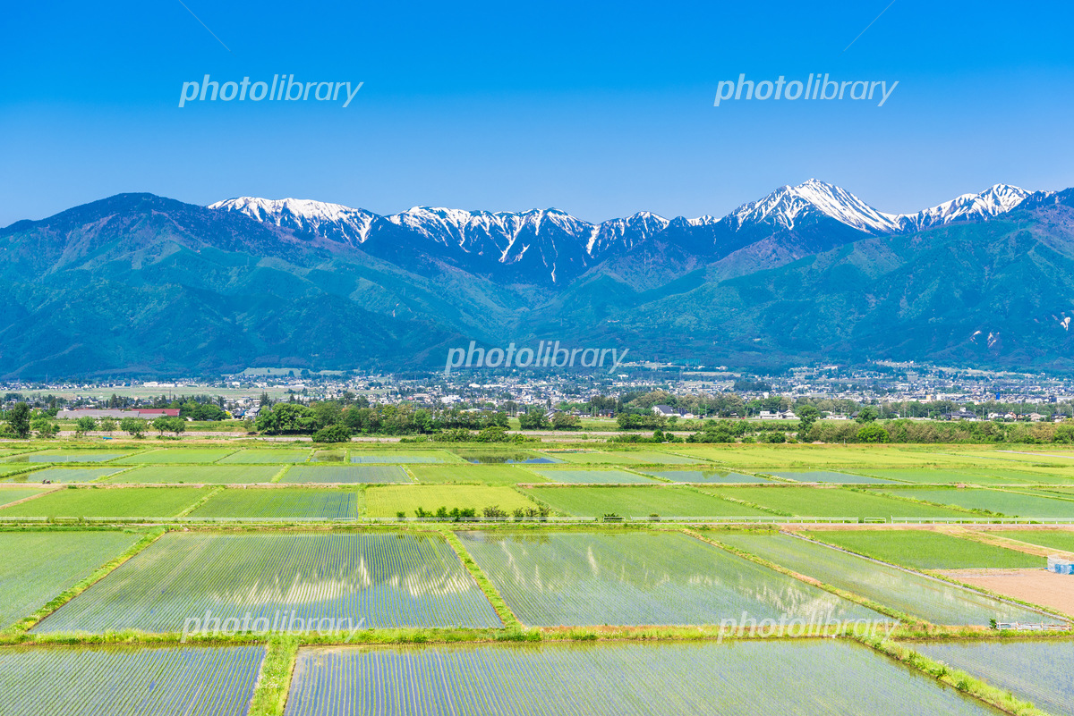 安曇野の田園風景と北アルプス 写真素材 [5102373] - フォトライブラリー