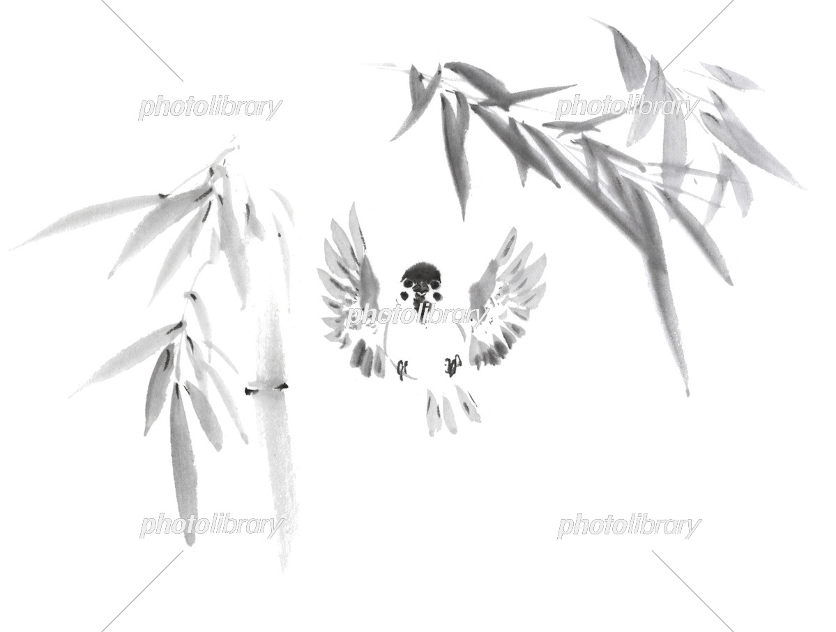 羽根を広げて飛んでいる雀 背景に竹 水墨画 イラスト素材 [7042466