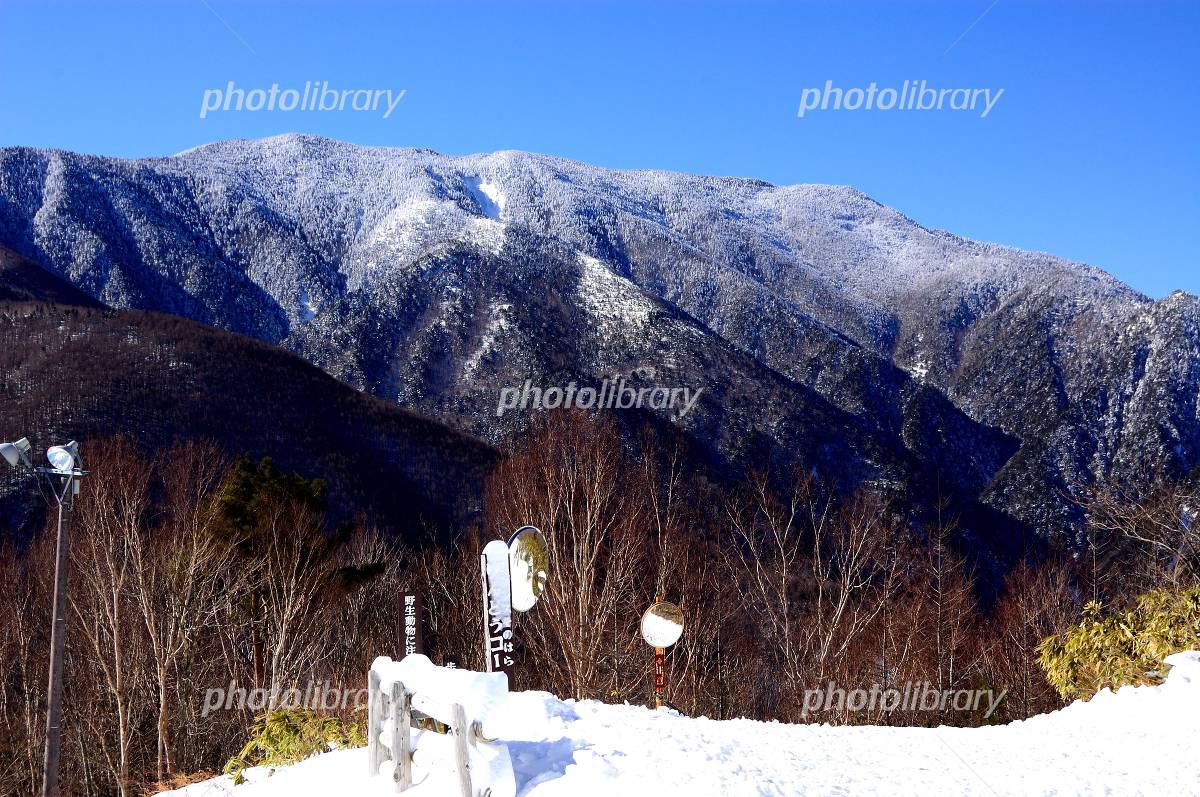 雪をまとった恵那山 写真素材 [1171412] - フォトライブラリー