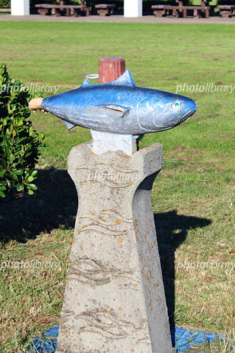 枕崎市 カツオのオブジェ 写真素材 [3542069] - フォトライブラリー