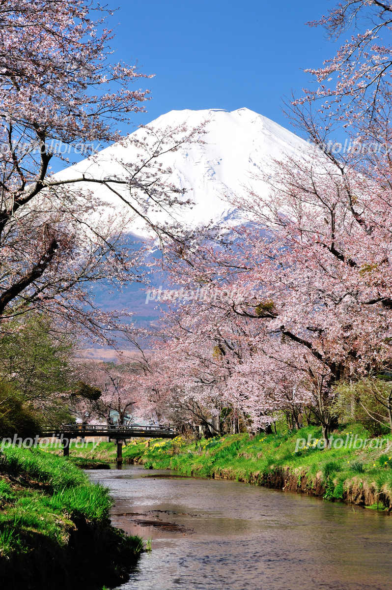 日本の原風景 写真素材 [2490995] - フォトライブラリー